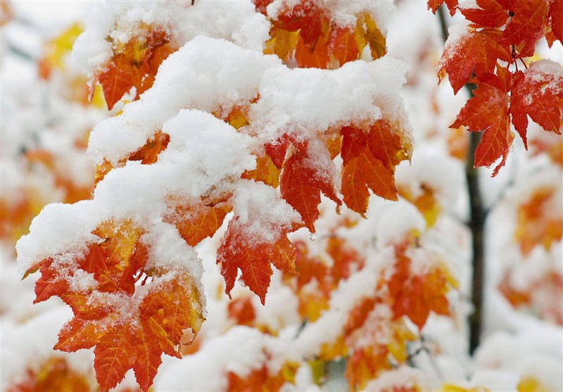 هواشناسی ایران1404/9/16؛برف و باران در 23 استان